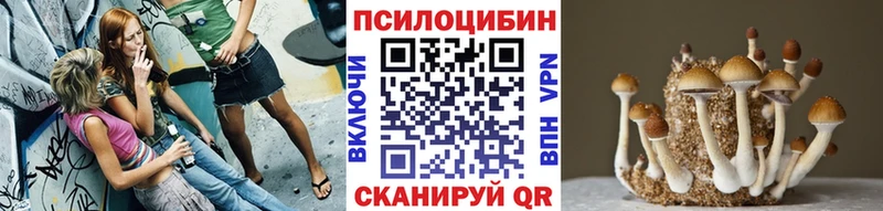 Галлюциногенные грибы Magic Shrooms Навашино